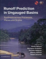 Runoff prediction in ungauged basins: synthesis across processes