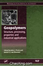 Geopolymers Structure