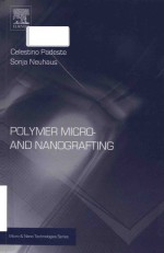 polymer micro- and nanografting