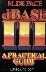 dBase III A Practical Guide