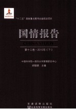 国情报告  第13卷  2010年  下