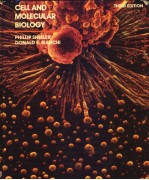 CELL AND MOLECULAR BIOLOGY  THIRD EDITION