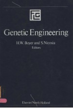 SYMPOSIA OF THE GIOVANNI LORENZINI FOUNDATION  VOLUME 2 GENETIC ENGINEERING