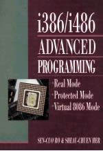 i386/i486 Advanced Programming