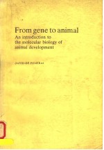 FROM GENE TO ANIMAL AN INTRODUCTION TO THE MOLECULAR BIOLOGY OF ANIMAL DEVELOPMENT