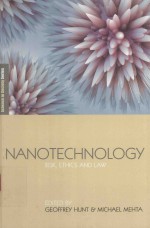 Nanotechnology Risk