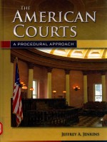 THE AMERICAN COURTS A PROCEDURAL APPROACH