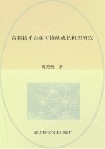 高新技术企业可持续成长机理研究