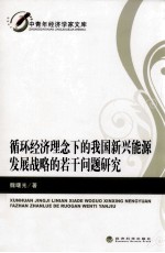 循环经济理念下的我国新兴能源发展战略的若干问题研究