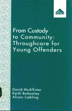 FROM CUSTODY TO  COMMUNITY:THROUGHCARE FOR YOUNG OFFENDERS