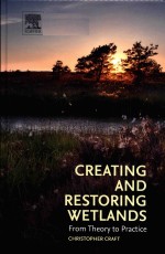 Creating and restoring wetlands: from theory to practice