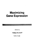 MAXIMIZING GENE EXPRESSION