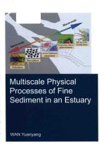 Multiscale physical processes of fine sediment in an estuary