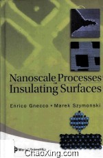 Nanoscale Processes on Insulating Surfaces