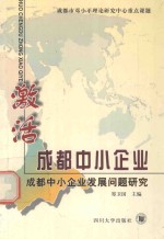 激活成都中小企业  成都中小企业发展问题研究