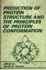 PREDICTION OF PROTEIN STRUCTURE AND THE PRINCIPLES OF PROTEIN CONFORMATION