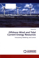 Offshore wind and tidal current energy resources: forecasing