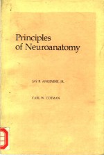 principles of neuroanatomy