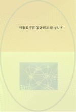 刑事数字图像处理原理与实务