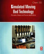 Simulated moving bed technology: principles