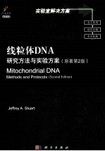 线粒体DNA  研究方法与实验方案  导读版  英文