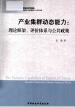 产业集群动态能力  理论框架评价体系与公共政策