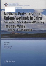 Methane emissions from unique wetlands in China: case studies