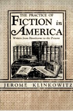 The Practice of Fiction in America: Writers from Hawthorne to the Present