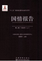 国情报告  第2卷  1999年  上