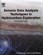 Seismic data analysis techniques in hydrocarbon exploration