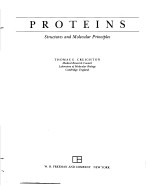 PROTEINS STRUCTURES AND MOLECULAR PRINCIPLES