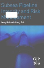 Subsea pipeline integrity and risk management