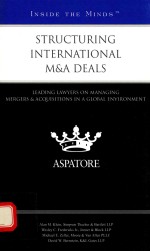 STRUCTURING INTERNATIONAL M AND A DEALS