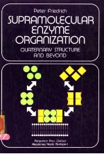 SUPRAMOLECULAR ENZYME ORGANIZATION