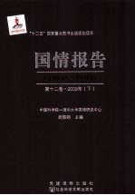 国情报告  第12卷  2009年  下