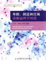 外阴、阴道和宫颈诊断病理学图谱