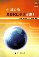 中国石油XBRL手册  2011