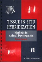 TISSUE IN SITU HYBRIDIZATION METHODS IN ANIMAL DEVELOPMENT