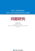 西北少数民族地区农村计划生育家庭养老社会保障问题研究