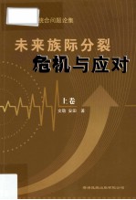 中国民族统合问题论集  未来族际分裂危机与应对  上