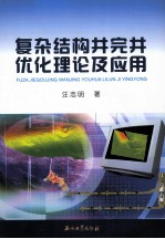 复杂结构井完井优化理论及应用