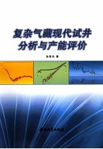 复杂气藏现代试井分析与产能评价