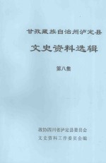 甘孜藏族自治州泸定县文史资料选辑  第8集