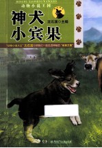 牧区地带  神犬小宾果