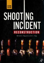 SHOOTING INCIDENT RECONSTRUCTION