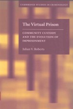 THE VIRTUAL PRISON COMMUNITY CUSTODY AND THE EVOLUTION OF IMPRISONMENT