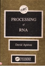 PROCESSING OF PNA