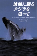 波間に踊るクジラを追って