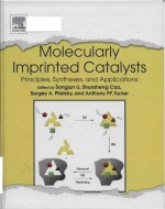 Molecularly imprinted catalysts: principles