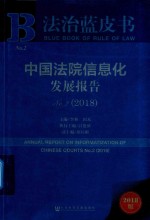 2018中国法院信息化发展报告  No.2